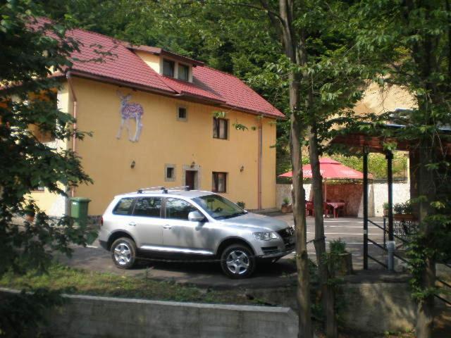 חדר סטנדרט, Complex Turistic Caprioara