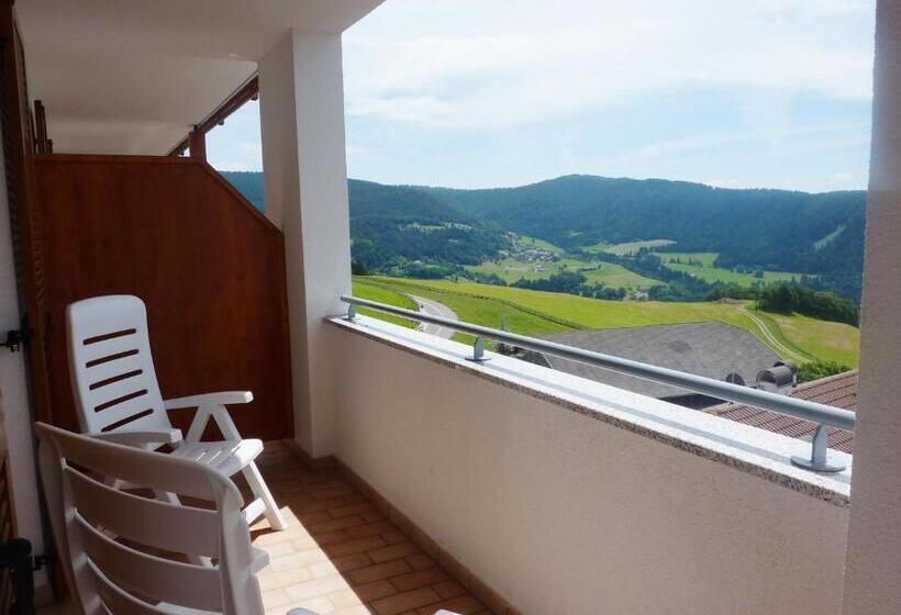 חדר סטנדרט עם מרפסת, Pension Schlaneiderhof