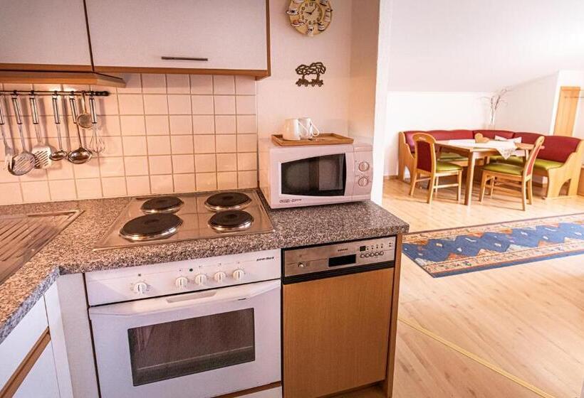 バルコニー付き1ベッドルームアパートメント, Haus Farmer