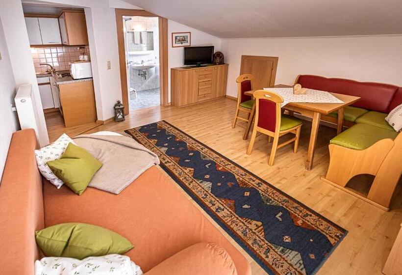 バルコニー付き1ベッドルームアパートメント, Haus Farmer