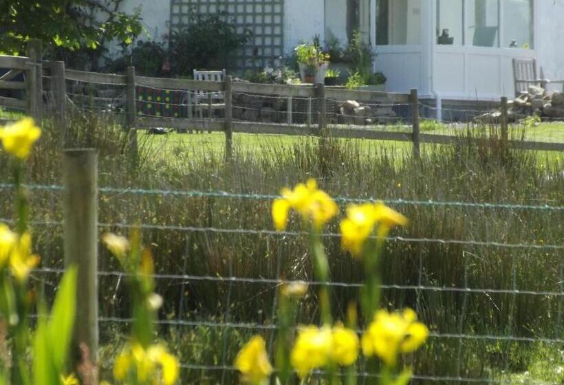 חדר סטנדרט נוף לגינה, The Swallows Guest House