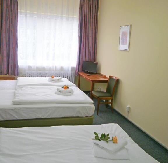 اتاق استاندارد سه تخته با سرویس بهداشتی مشترک, Amadeus Central