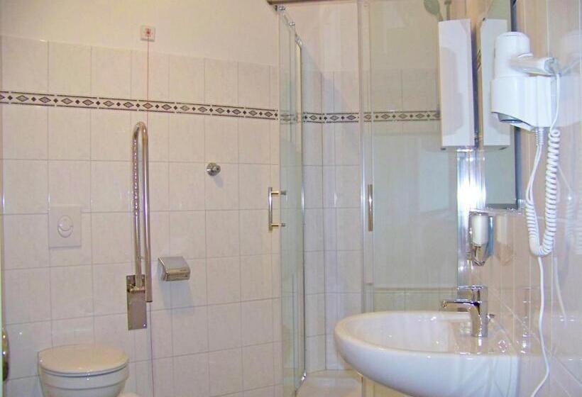 اتاق استاندارد سه تخته با سرویس بهداشتی مشترک, Amadeus Central