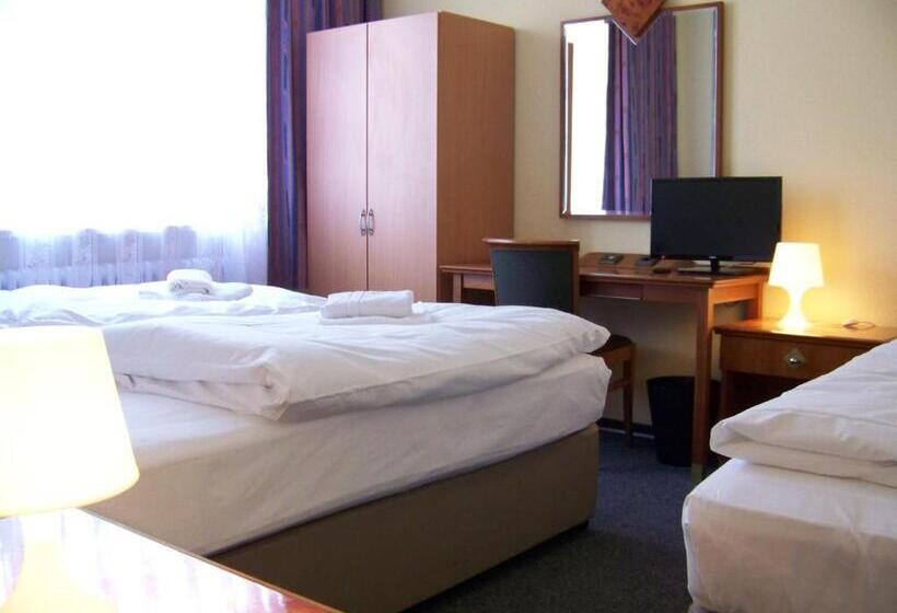 اتاق استاندارد سه تخته با سرویس بهداشتی مشترک, Amadeus Central