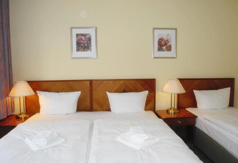 اتاق استاندارد سه تخته با سرویس بهداشتی مشترک, Amadeus Central