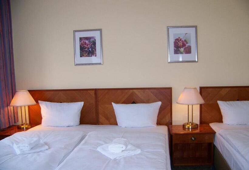 اتاق استاندارد سه تخته با سرویس بهداشتی مشترک, Amadeus Central