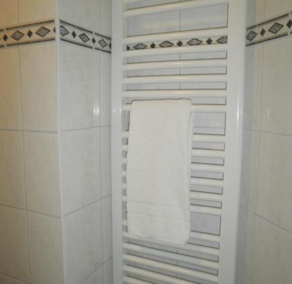 اتاق استاندارد با سرویس بهداشتی مشترک, Amadeus Central