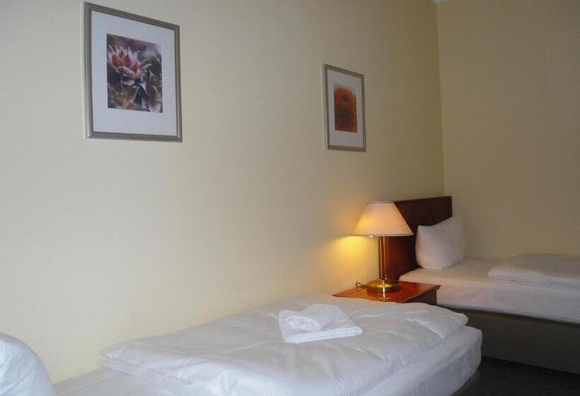 اتاق استاندارد با سرویس بهداشتی مشترک, Amadeus Central