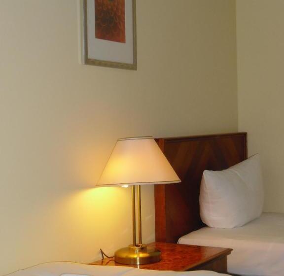 اتاق استاندارد با سرویس بهداشتی مشترک, Amadeus Central