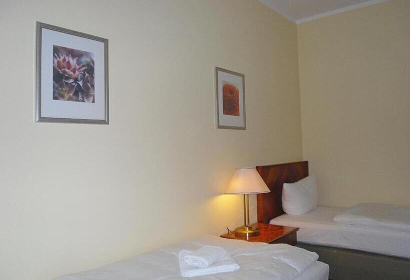 اتاق استاندارد با سرویس بهداشتی مشترک, Amadeus Central