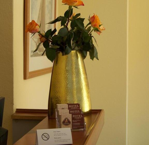 اتاق استاندارد یک تخته با سرویس بهداشتی مشترک, Amadeus Central