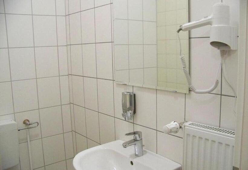 اتاق استاندارد یک تخته با سرویس بهداشتی مشترک, Amadeus Central