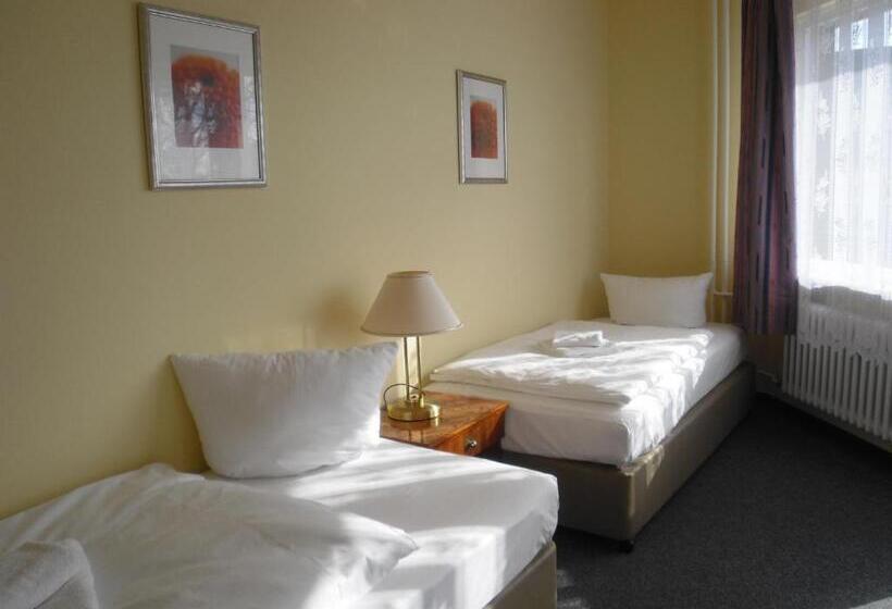 اتاق استاندارد چهارنفره با سرویس بهداشتی مشترک, Amadeus Central