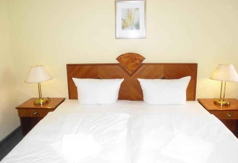 اتاق استاندارد با سرویس بهداشتی مشترک, Amadeus Central