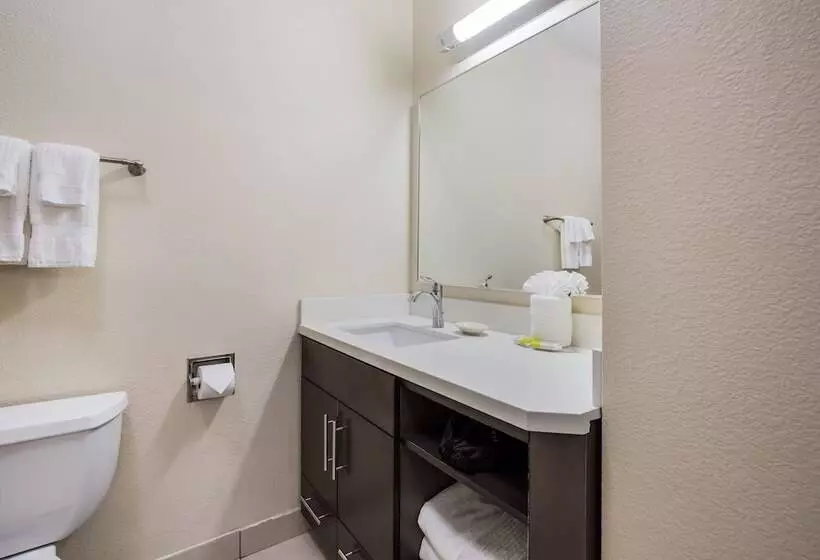 スイート, Candlewood Suites Virginia Beach Town Center, An Ihg