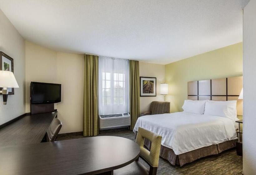 标准工作室, Candlewood Suites Virginia Beach Town Center, An Ihg