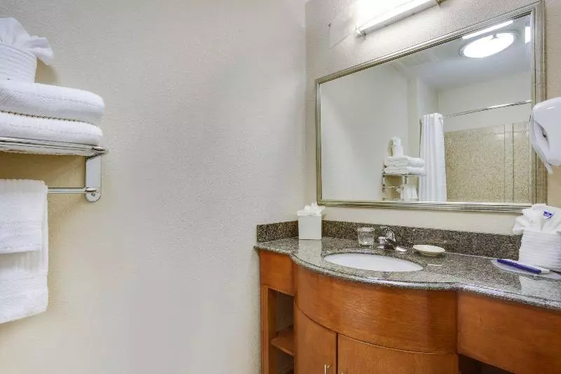 キングサイズベッドのスイートルーム, Candlewood Suites Virginia Beach Town Center, An Ihg