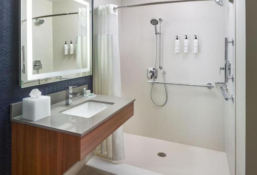 غرفة قياسية سرير كينج, Fairfield Inn & Suites Atlanta Mcdonough