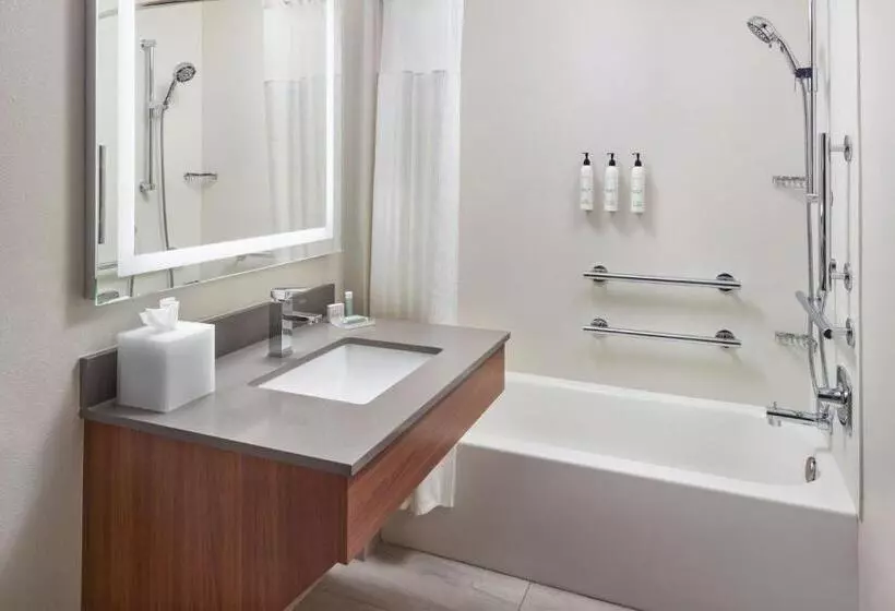 キングサイズベッドのスタンダードルーム, Fairfield Inn & Suites Atlanta Mcdonough