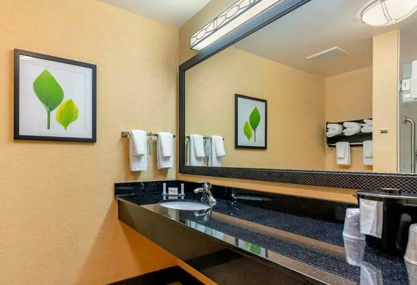 キングサイズベッドのスタンダードルーム, Fairfield Inn & Suites Columbus