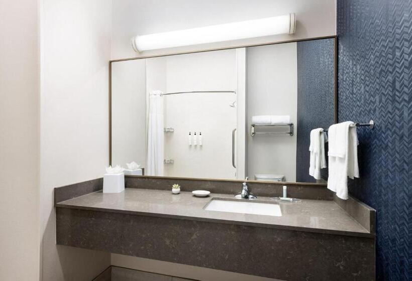 غرفه قياسيه سريرين مزدوجين, Fairfield Inn & Suites Roswell