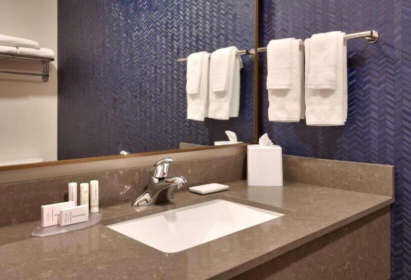 غرفة قياسية سرير كينج, Fairfield Inn & Suites Roswell