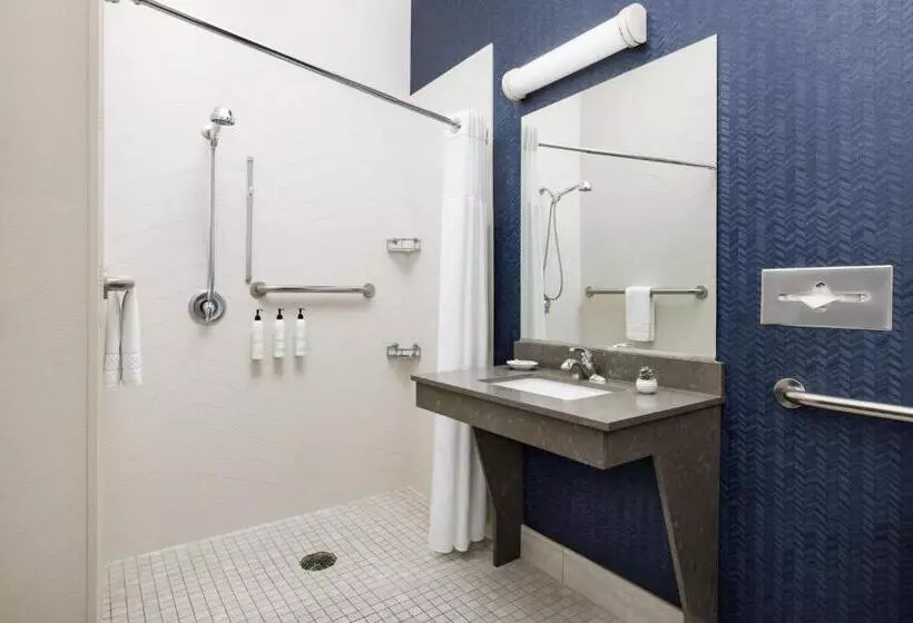キングサイズベッドのスタンダードルーム, Fairfield Inn & Suites Roswell