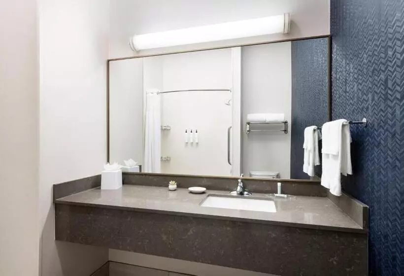 キングサイズベッドのスタンダードルーム, Fairfield Inn & Suites Roswell