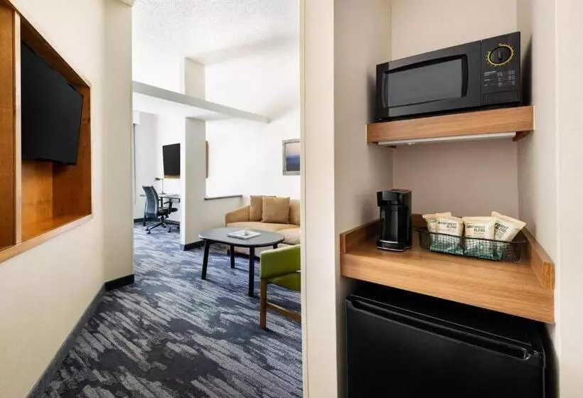 キングサイズベッドのスイートルーム, Fairfield Inn & Suites Roswell