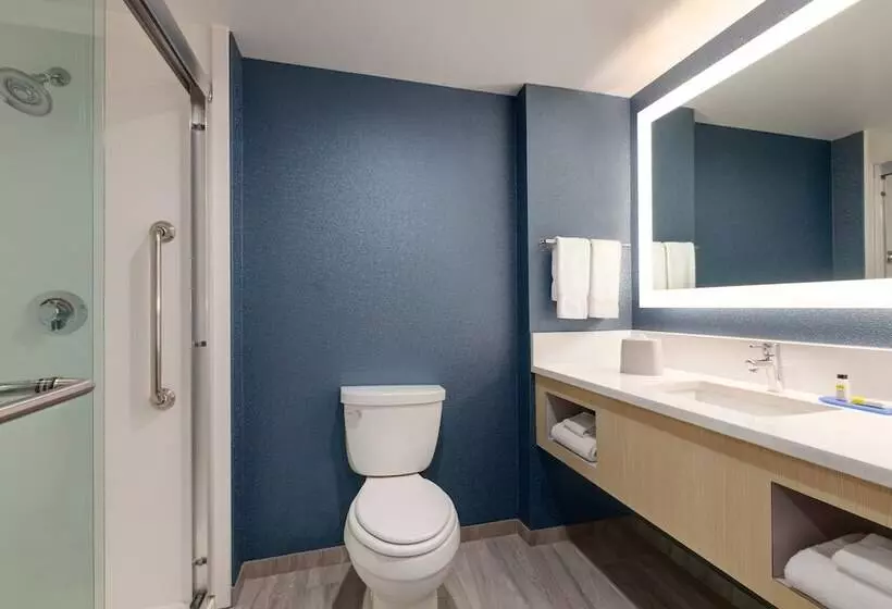 スイート, Holiday Inn Express Hotel & Suites Norfolk Airport, An Ihg