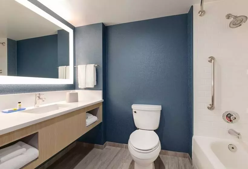 スイート, Holiday Inn Express Hotel & Suites Norfolk Airport, An Ihg