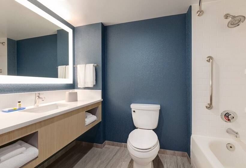 适合残疾人士使用的套间, Holiday Inn Express Hotel & Suites Norfolk Airport, An Ihg