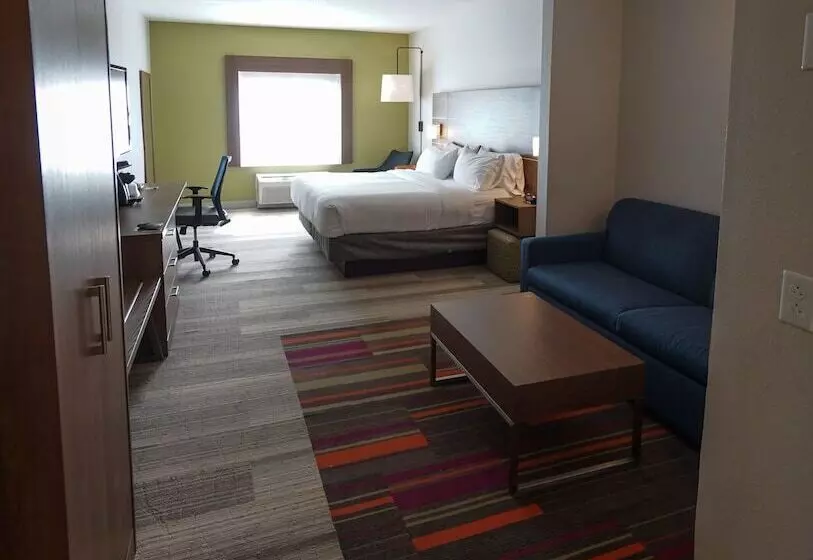 سوییت, Holiday Inn Express Hotel & Suites Savannah Midtown, An Ihg