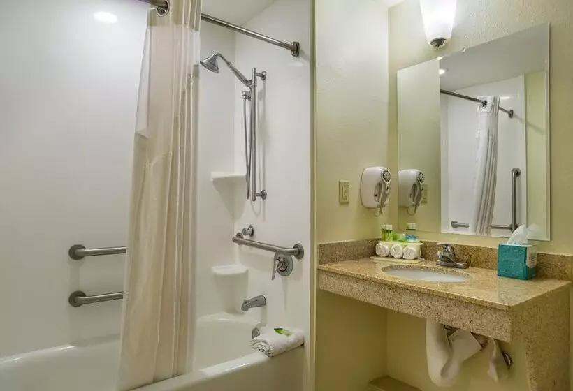 سوئیت برای معلولان, Holiday Inn Express Hotel & Suites Savannah Midtown, An Ihg