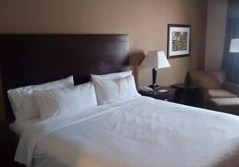 キングサイズベッドのスタンダードルーム, Holiday Inn Express & Suites Zanesville North, An Ihg