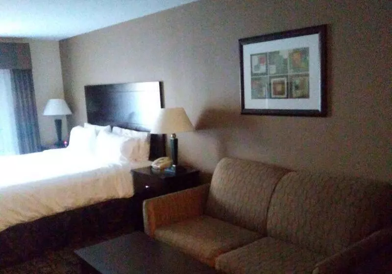 キングサイズベッドのスタンダードルーム, Holiday Inn Express & Suites Zanesville North, An Ihg