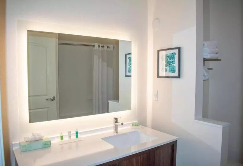 Standard-huone, Holiday Inn Omaha Downtown Waterpark, An Ihg