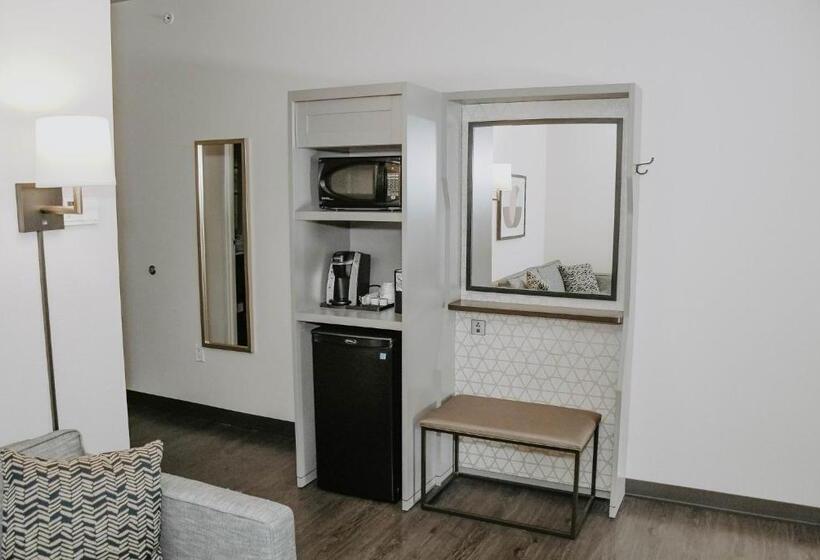 シングルデラックスルーム, Holiday Inn Omaha Downtown   Waterpark, An Ihg