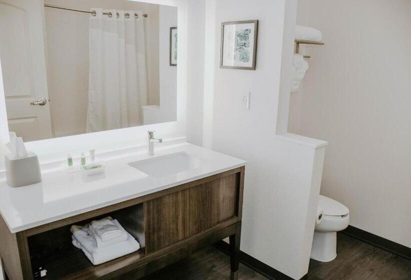 Номер Стандартный с Видом, Holiday Inn Omaha Downtown   Waterpark, An Ihg
