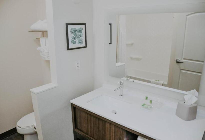 シングルデラックスルーム, Holiday Inn Omaha Downtown   Waterpark, An Ihg