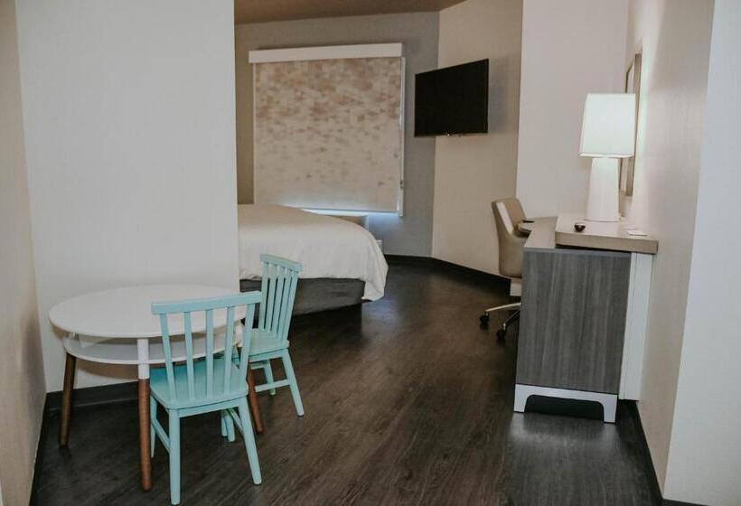 スイート, Holiday Inn Omaha Downtown   Waterpark, An Ihg