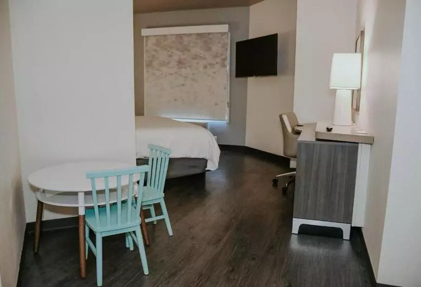 Sviitti, Holiday Inn Omaha Downtown Waterpark, An Ihg