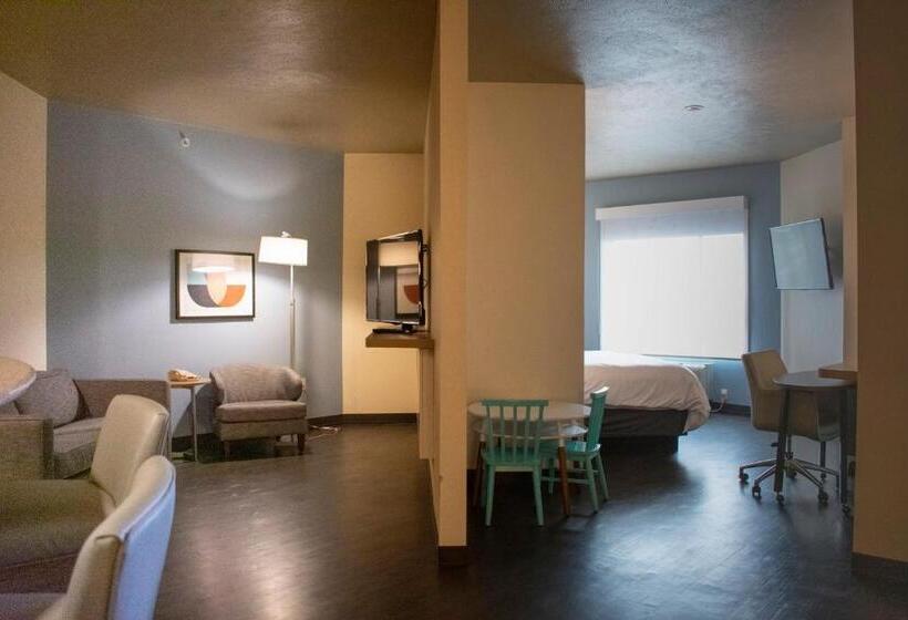 Люкс, Holiday Inn Omaha Downtown   Waterpark, An Ihg