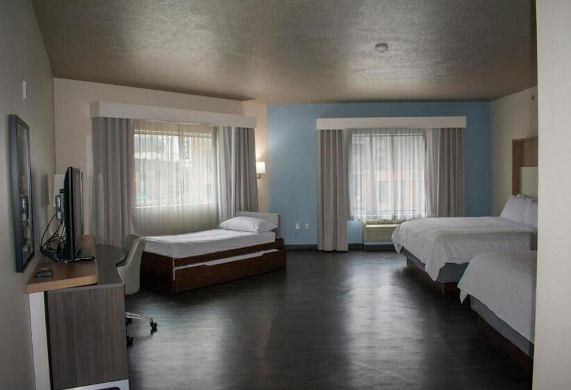 景色の見えるスイートルーム, Holiday Inn Omaha Downtown   Waterpark, An Ihg