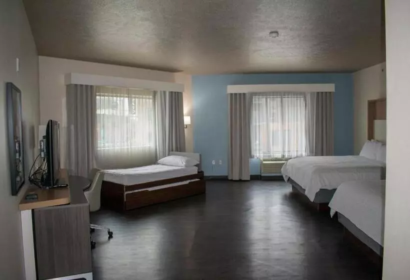 Sviitti Näkymä, Holiday Inn Omaha Downtown Waterpark, An Ihg