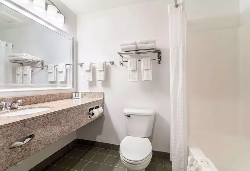 ２ダブルベッドのスタンダードルーム, Quality Inn & Suites Augusta I 20
