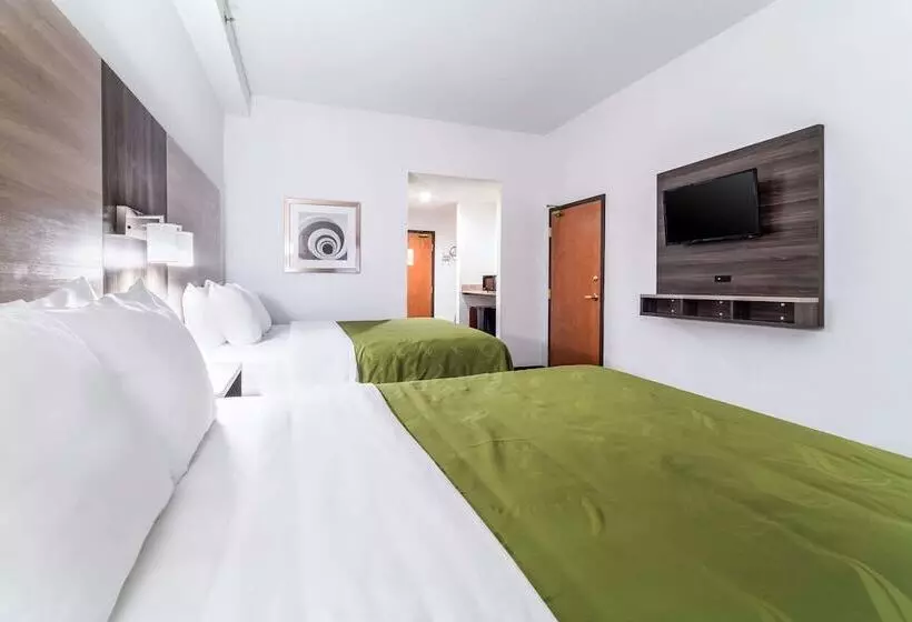 ２ダブルベッドのスタンダードルーム, Quality Inn & Suites Augusta I 20