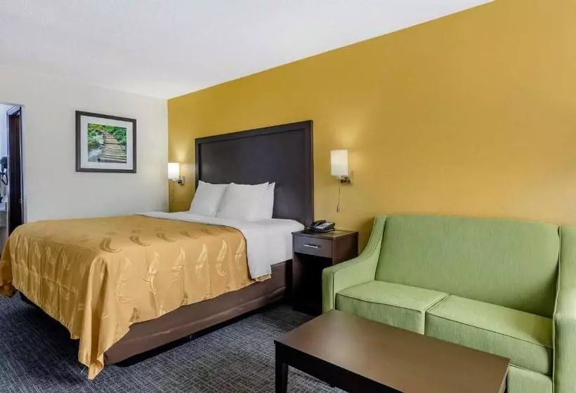 Standard-huone King-vuode, Quality Inn Verona  Staunton North