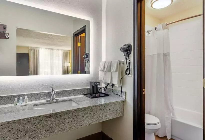 Standard-huone King-vuode, Quality Inn Verona  Staunton North