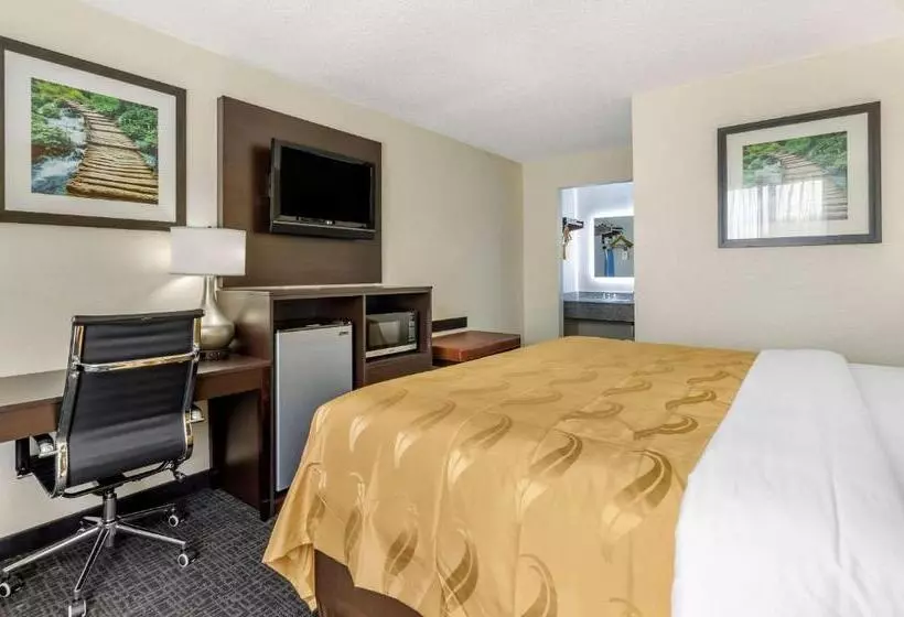 Standard-invahuone King-vuode, Quality Inn Verona  Staunton North